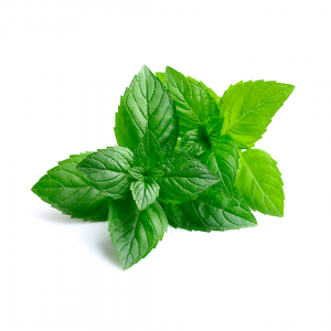 208 - ALBAHACA 1KG