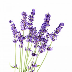 315 - LAVANDA 1KG