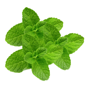 1034 - MENTA 1KG