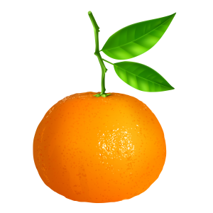 258 - MANDARINA 1KG