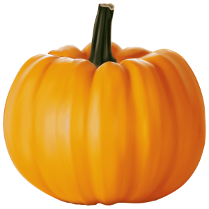 095 - CALABAZA 1KG