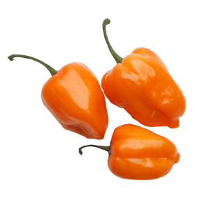 056 - CHILE HABANERO 1KG