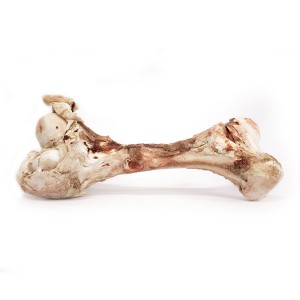 217 - HUESO CERDO 1KG