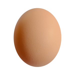 356 - HUEVO GALLINA 1 PIEZA