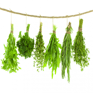HIERBAS AROMATICAS