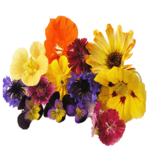 998- FLORES PARA DECORACIÓN PLATILLOS 1KG